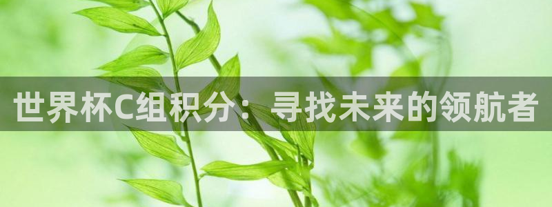 英格兰联赛杯直播：世界杯C组积分：寻找未来的领航者