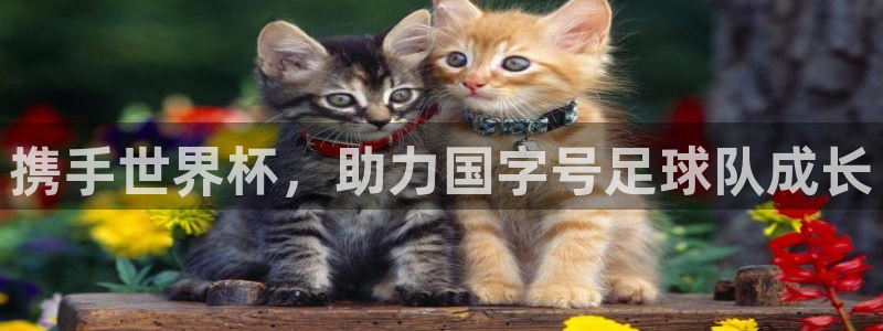 美国世界杯：携手世界杯，助力国字号足球队成长
