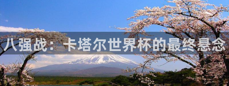 英足总杯直播：八强战：卡塔尔世界杯的最终悬念