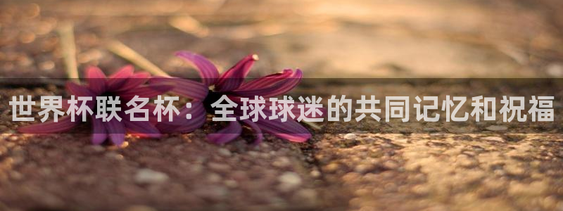 世界杯亚洲区预选赛：世界杯联名杯：全球球迷的共同记忆和祝福