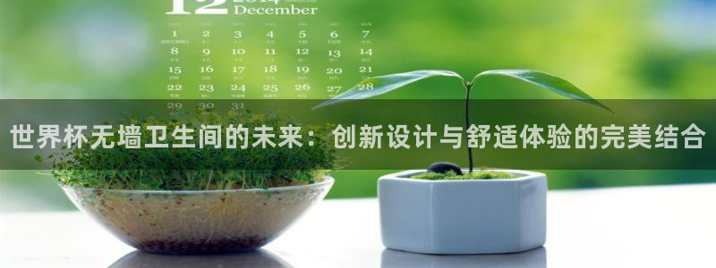葡萄牙世界杯赛程：世界杯无墙卫生间的未来：创新设计与舒适体验的完美结合