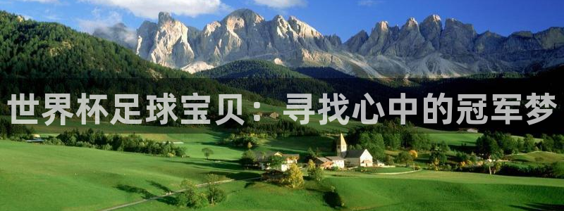 2026世界杯亚洲区预选赛：世界杯足球宝贝：寻找心中的冠军梦