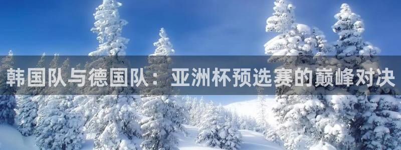2026男足世界杯：韩国队与德国队：亚洲杯预选赛的巅峰对决