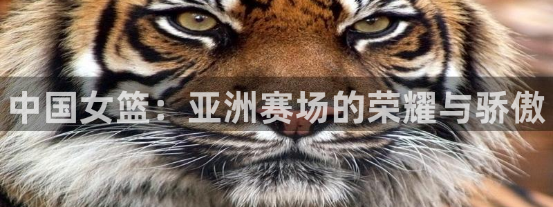 2026世预赛全部赛程：中国女篮：亚洲赛场的荣耀与骄傲